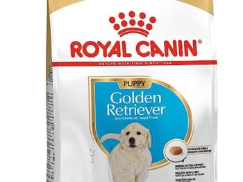 Royal Canin Golden Retriever Junior Dog 12kg Dry Dog Food